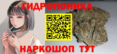 мяу мяу мука Гусь-Хрустальный