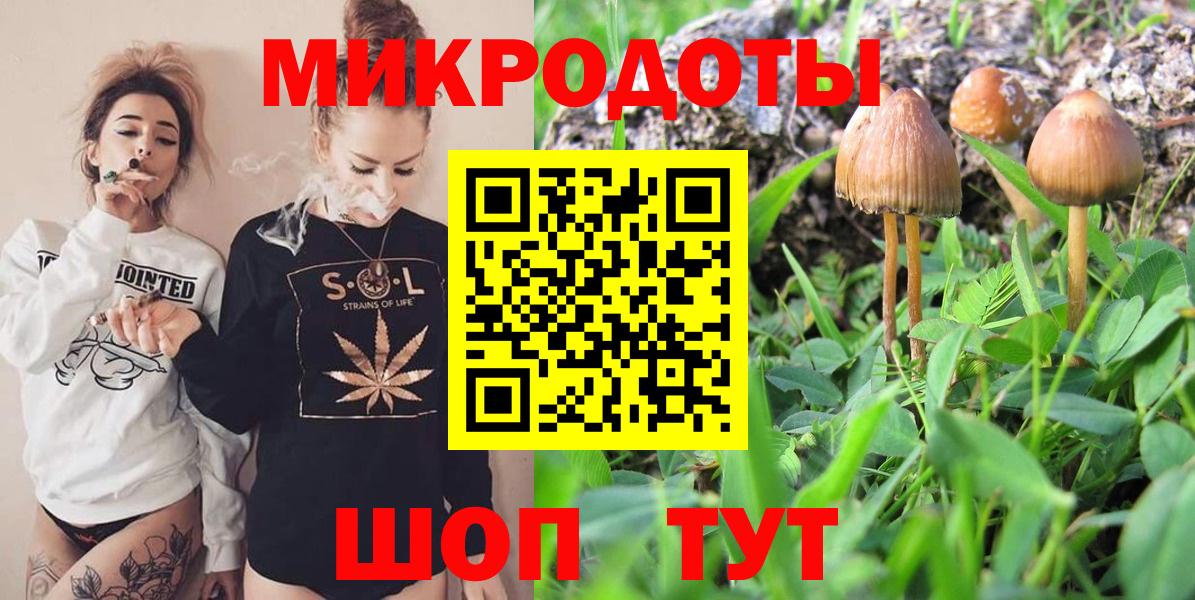 ГАШ Мурманск