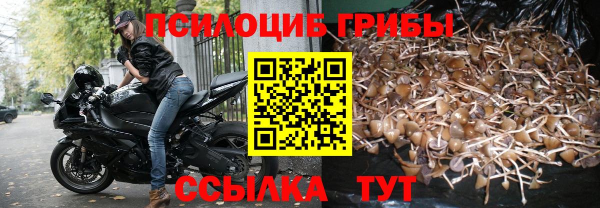 Псилоцибиновые грибы GOLDEN TEACHER  Вход с VPN  Галлюциногенные грибы Magic Shrooms  Мурманск 